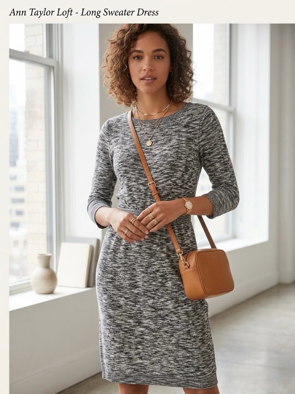 Ann Taylor Loft Long Sleeve Dress Size M petite